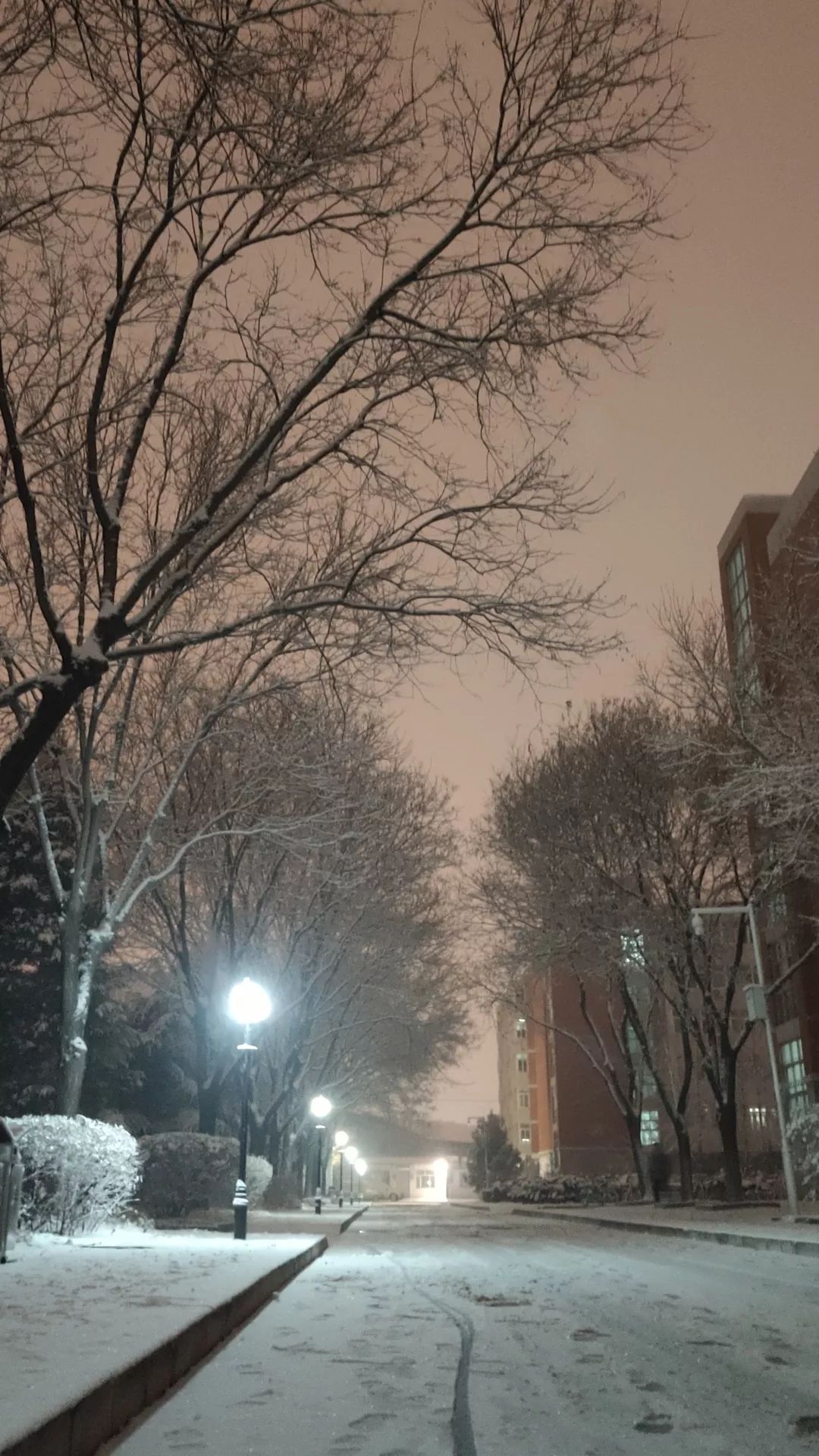 雪夜最美的風景三月的春暖花開六月的夏木繁蔭九月的秋高氣爽而今有了