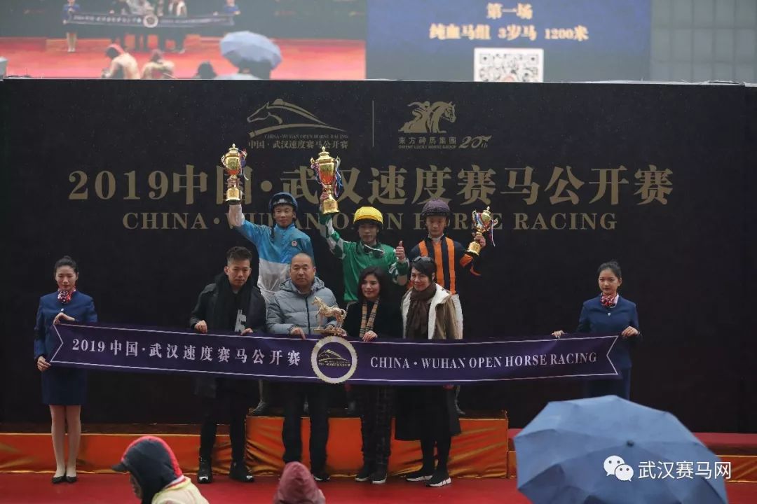 赛事直击2019中国武汉速度赛马公开赛11月30日赛事精彩赛果