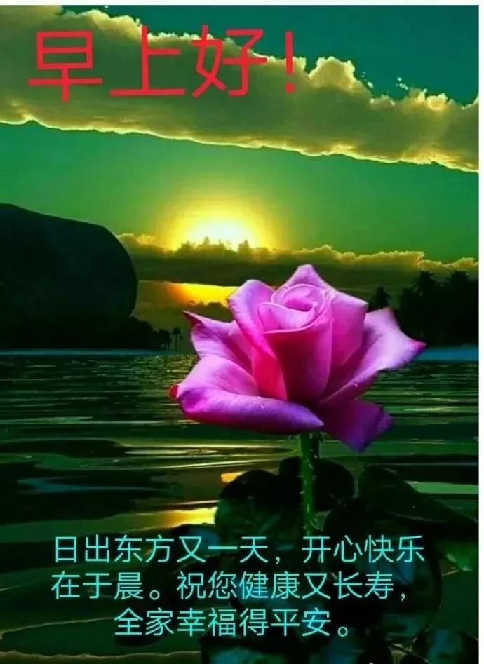 今日早上好的问候语优美句子早晨好图片祝福短句