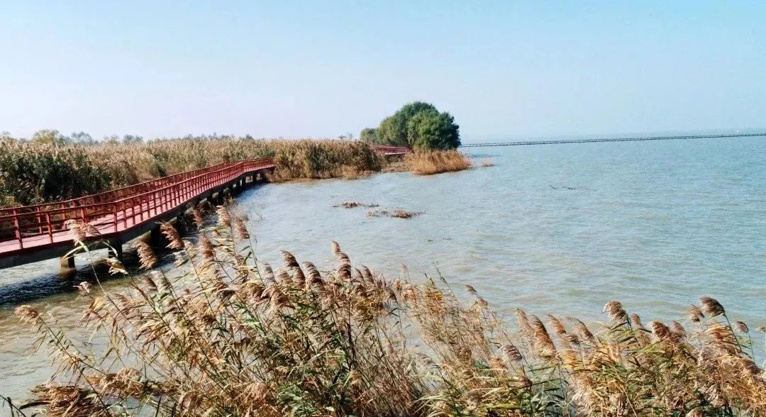 省级湿地公园,西起兆河东侧大圩埂,南至兆河大桥东侧,北至朱家岗西侧