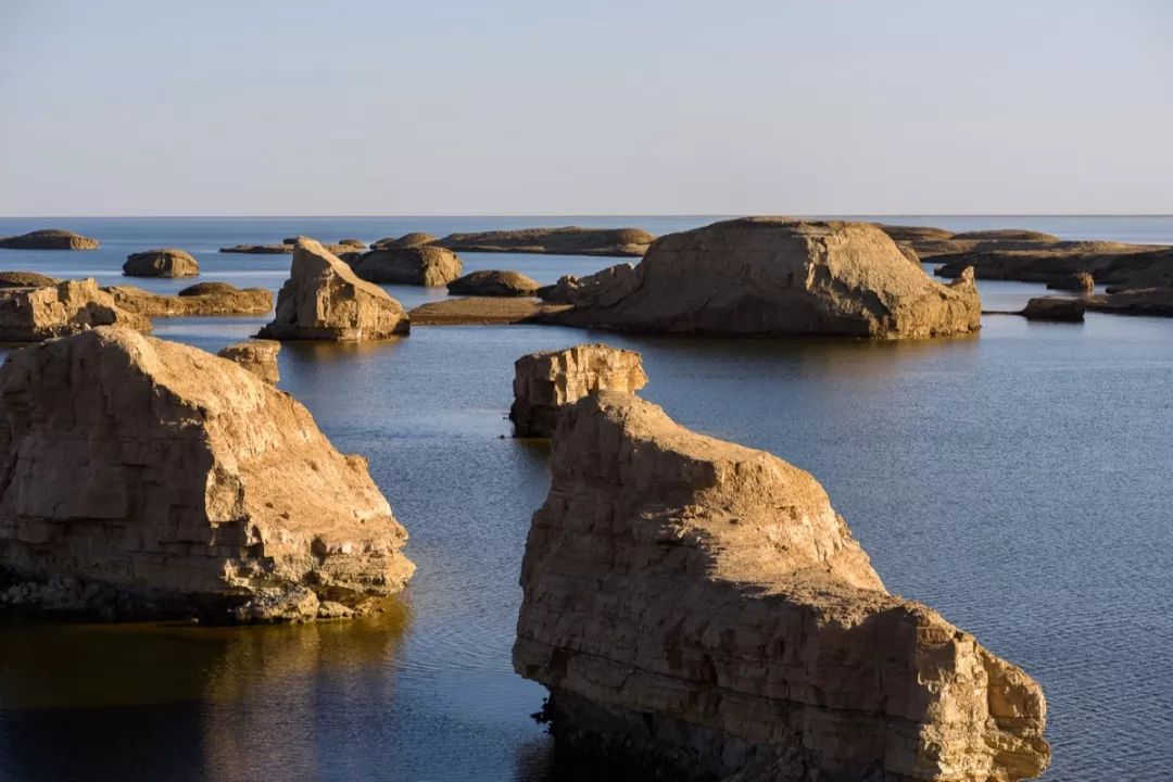 翻开大自然的四次元口袋,看看里面装了哪些"神奇宝贝"_艾肯