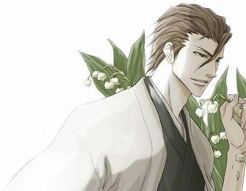 原创死神如果蓝染成功斩杀了灵王尸魂界真的会变得更好吗