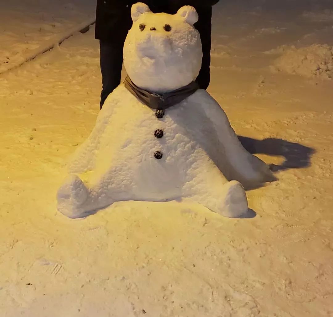 同大第一届朋友圈"堆雪人"大赛,真是被这群可爱的学子"吸粉"了,优秀!