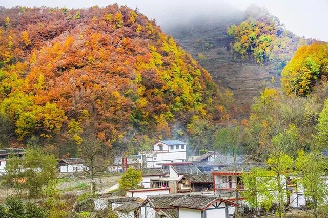 娴静如世外桃源悠哉若人间仙境——带你走进武都裕河八福沟景区