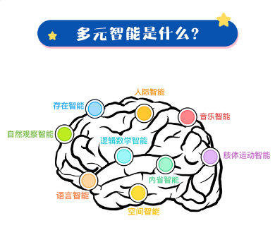 多元智能的开发能赋予孩子哪些能力呢?