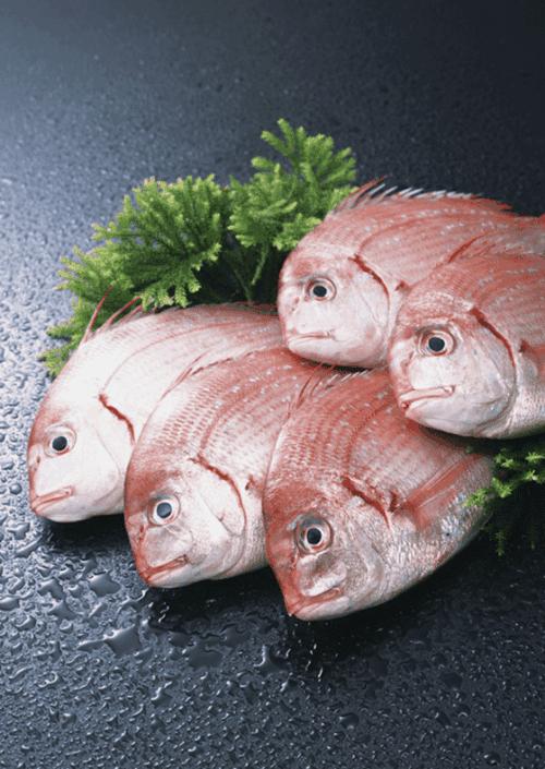 痛风患者一口鱼都不能吃吗如果可以吃哪种比较好