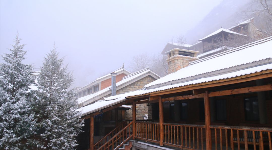 初雪到访山居发现她时刻准备着一夜之间,意趣盎然梦里的鹿鸣就在你