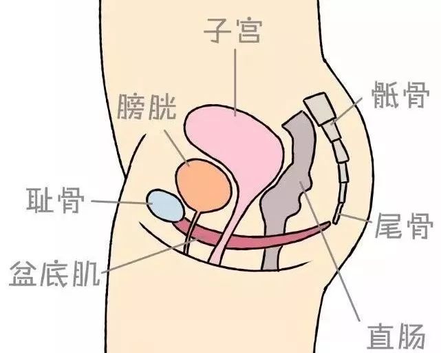 其实这是孕期身体生理性的改变和激素水平变化带来的影响.
