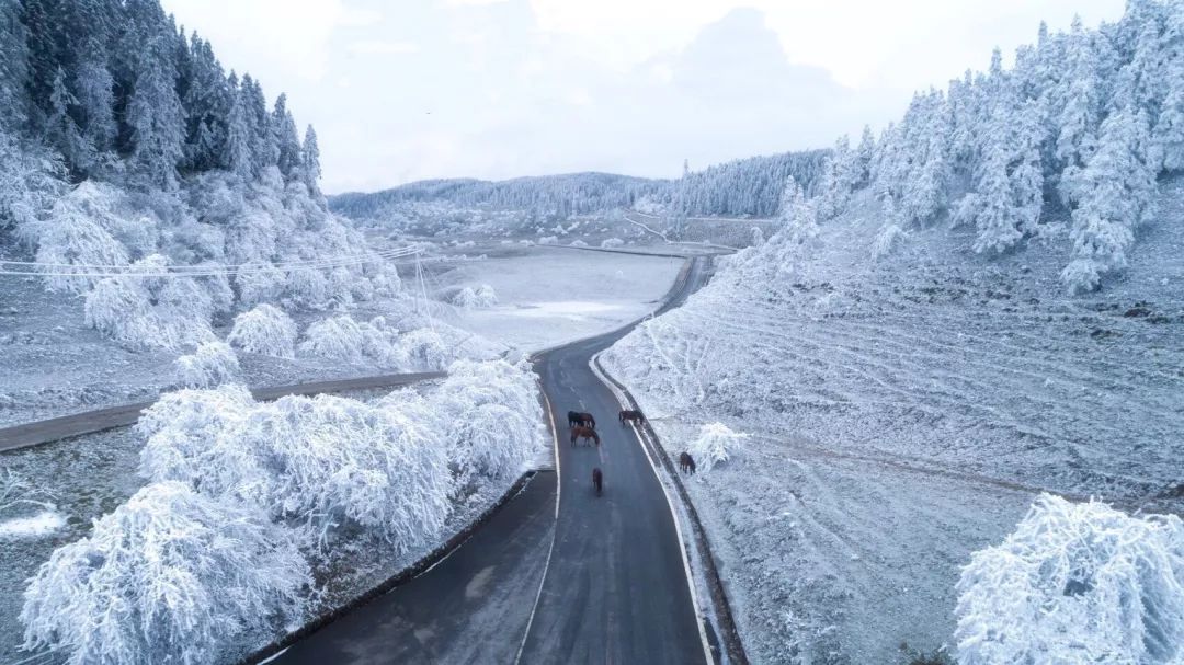 武隆仙女山04自驾线路:重庆主城—南川—武隆—彭水—摩围山以上图片