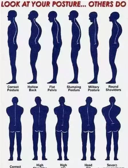 要评估脊柱侧弯,我们需要先了解正常的脊柱位置.