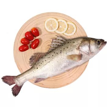 秋冬游斗门～黄稻田,肥海鲈,热温泉,赶庙会!好玩好吃!