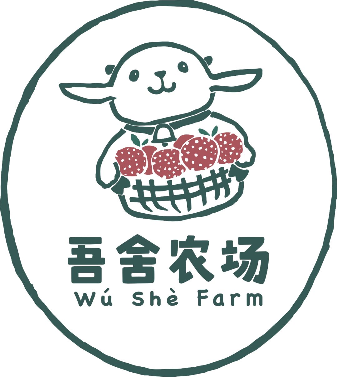 采摘季吾舍农场的桔柚开采了