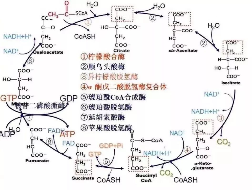 除了发量,我们变的还有这些._变化