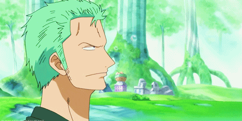 海贼王盘点索隆的五大后宫真是让山治心都碎了