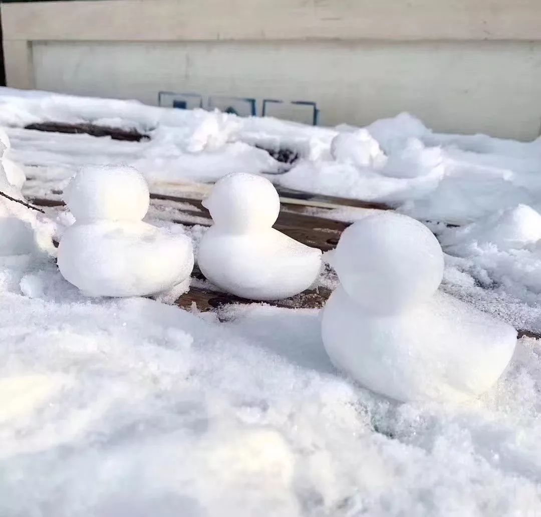央美校园2019年初雪与学子们的冰雪奇缘