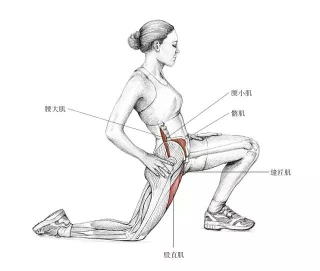 股内侧肌拉伸方法图解图片