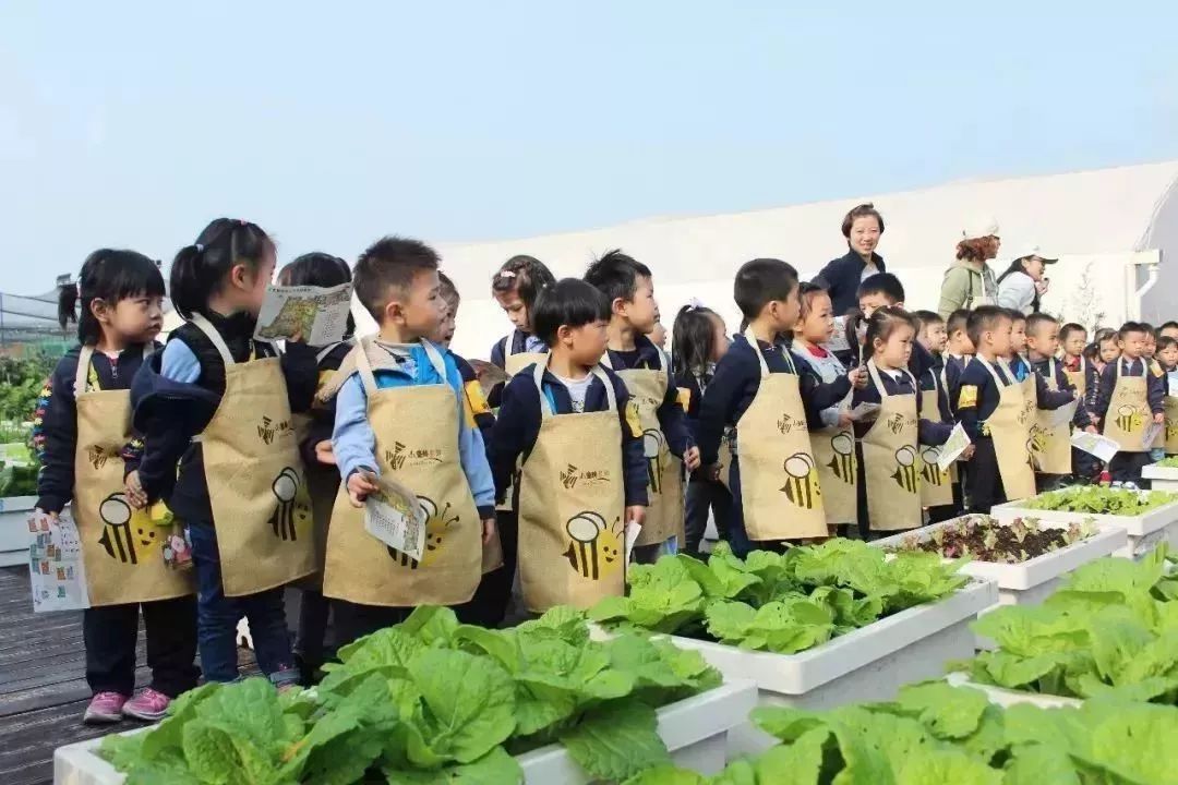 上海小蜜蜂农场图片