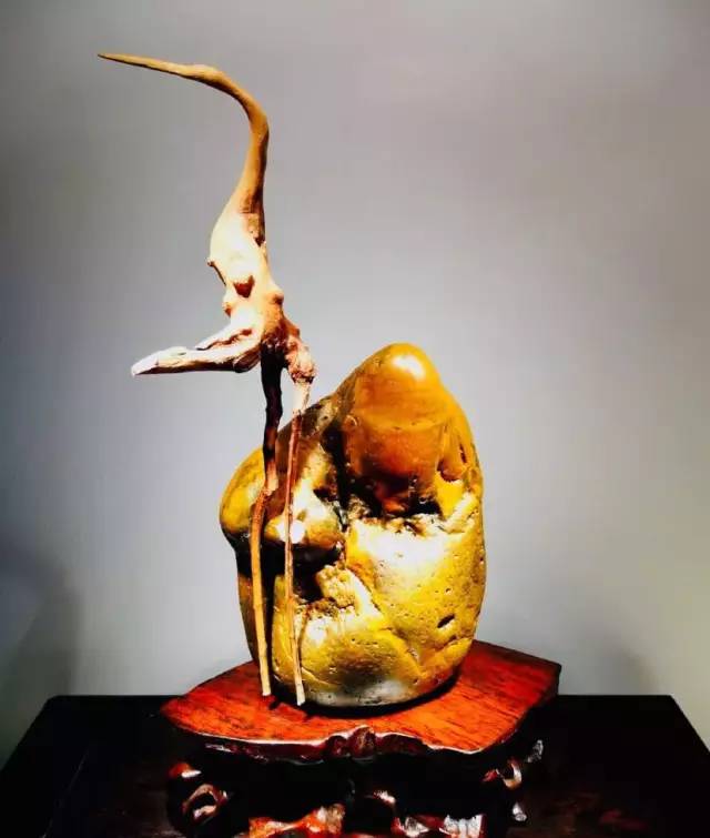 奇石欣赏岁月磨洗唯美石与人生不可辜负