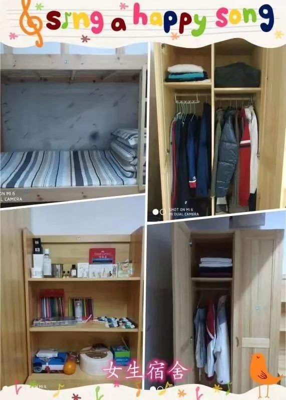 宿说宁碧舍我其谁宁乡碧桂园学校2019首届宿舍文化周展评综述及获奖