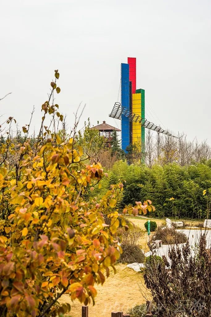 潍坊安顺广场,初冬景象