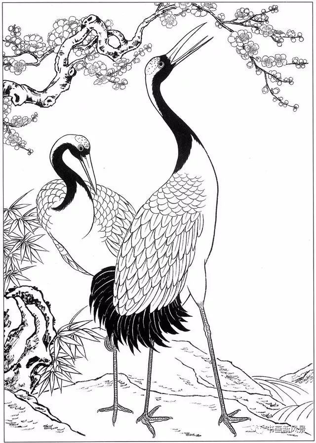 画鹤,这是最优美的线条!_白描
