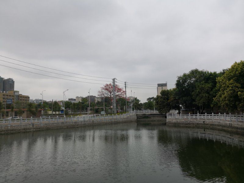 美丽乡村候选村池尾街道贵政山村