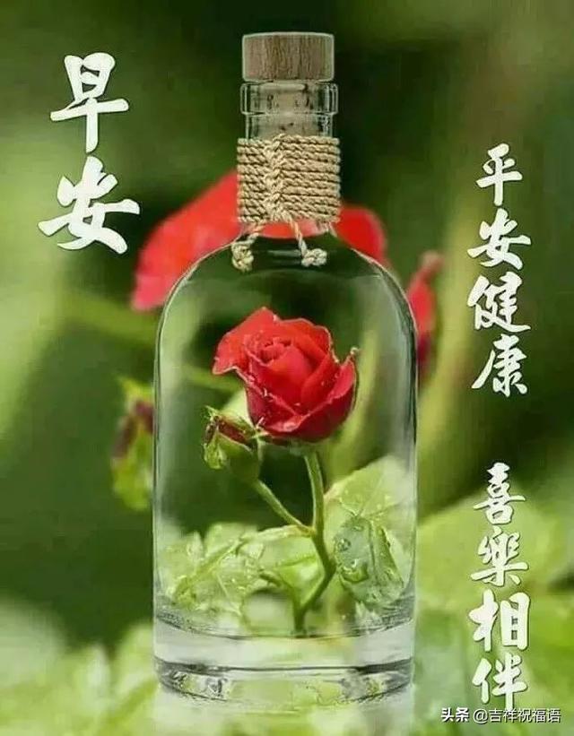 最美冬天早上好问候语静态图片12月早晨表情祝福句子