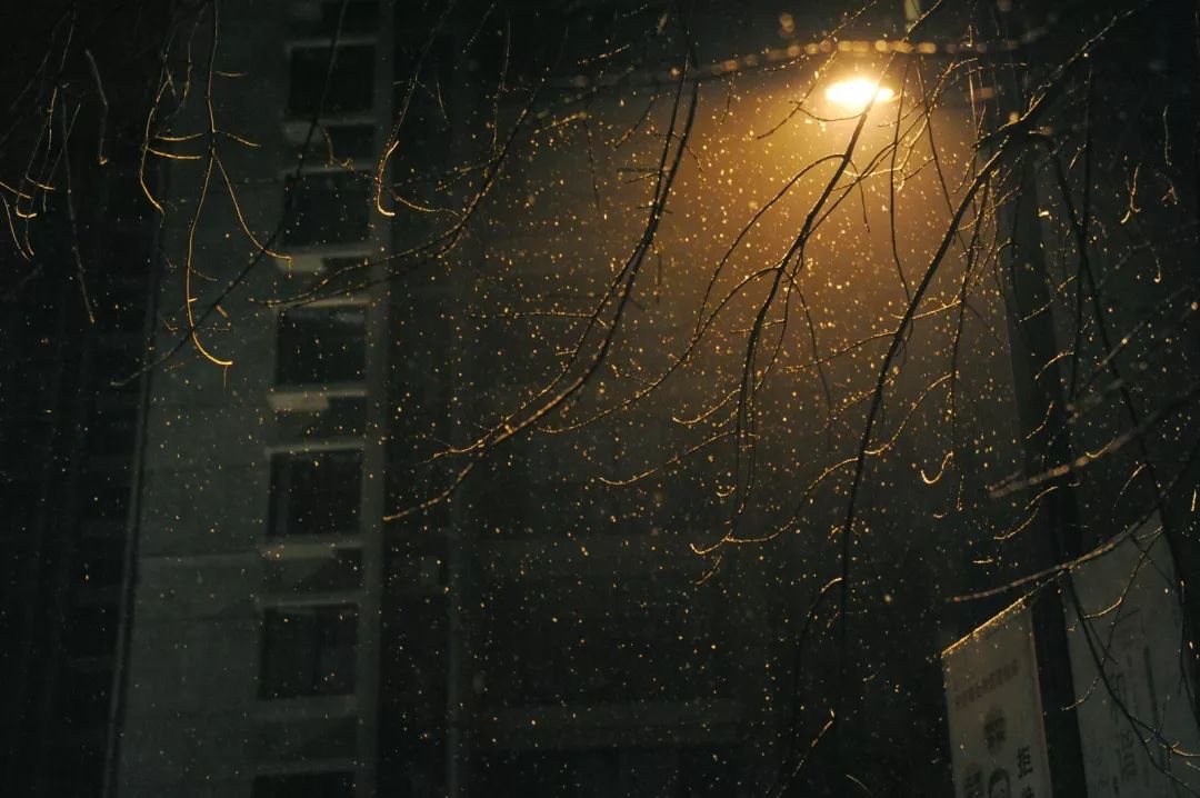 城事今天凌晨雪姑娘赴约视频图片赶紧看