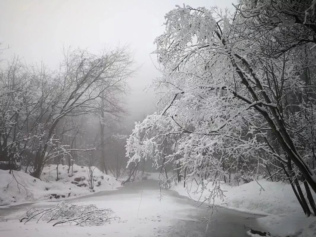 远离雾霾!汉中这些地方就是你寻找的"天然氧吧"!