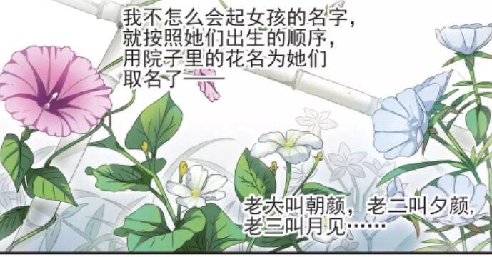 朝颜对夕颜是真的好,不掺杂一点水分,心里一直都是夕颜和月见,但是