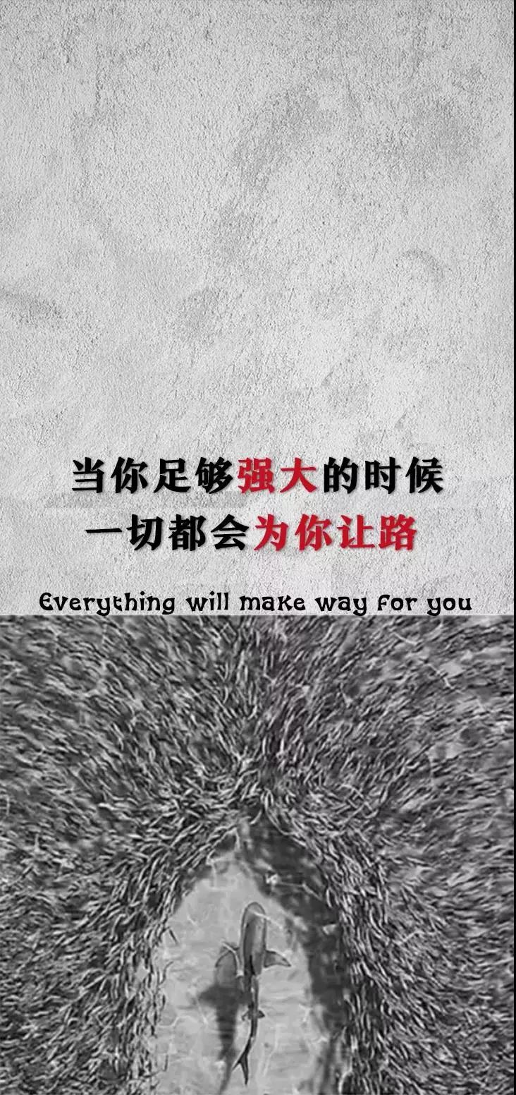 抖音壁纸当你足够强大的时候一切都会为你让路