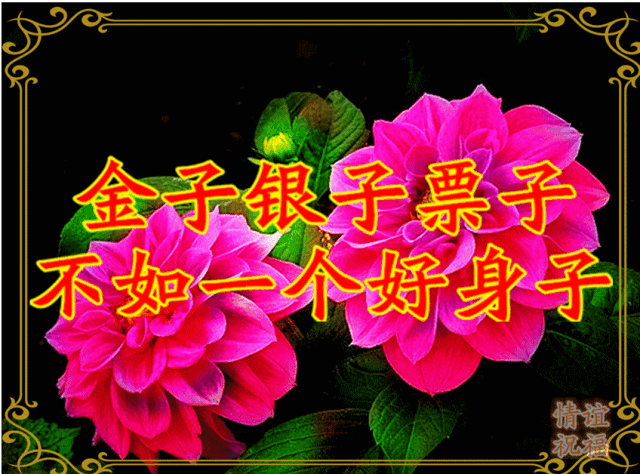 640_474gif 动态图 动图