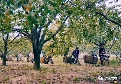 回忆这些老照片讲述的小城故事你可能还是第一次知道