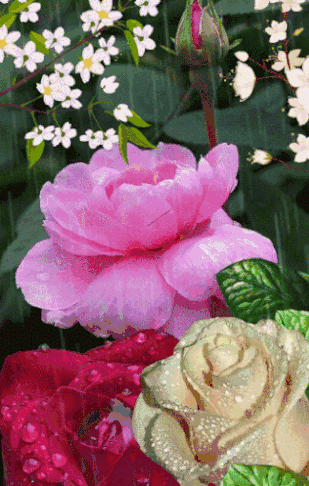 309_486竖版 竖屏gif 动态图 动图