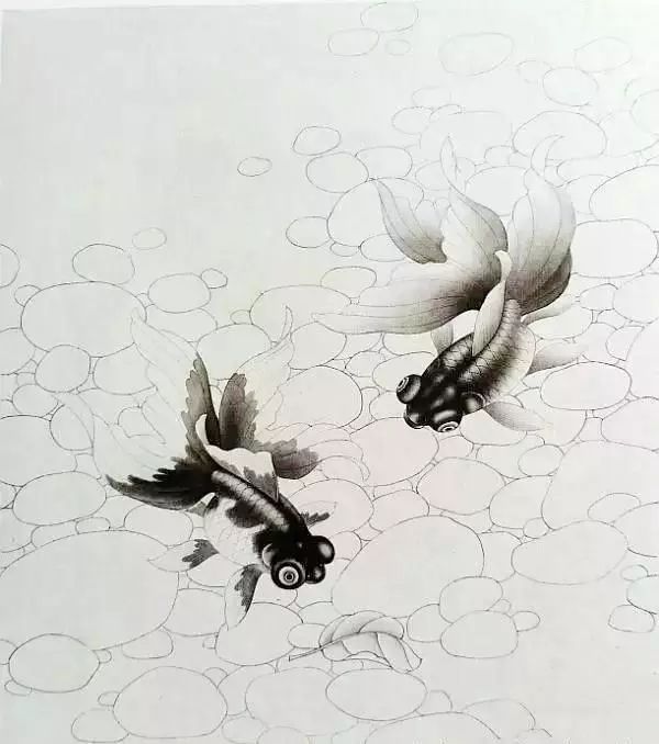 《黑龙睛金鱼》步骤画法