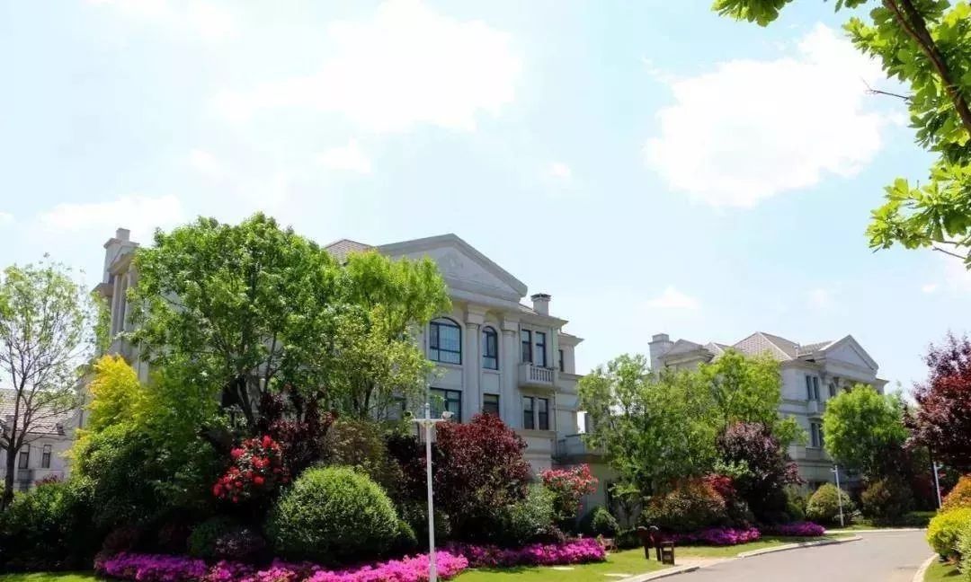 旅拍网红打卡圣地奥华温泉巴厘岛风情