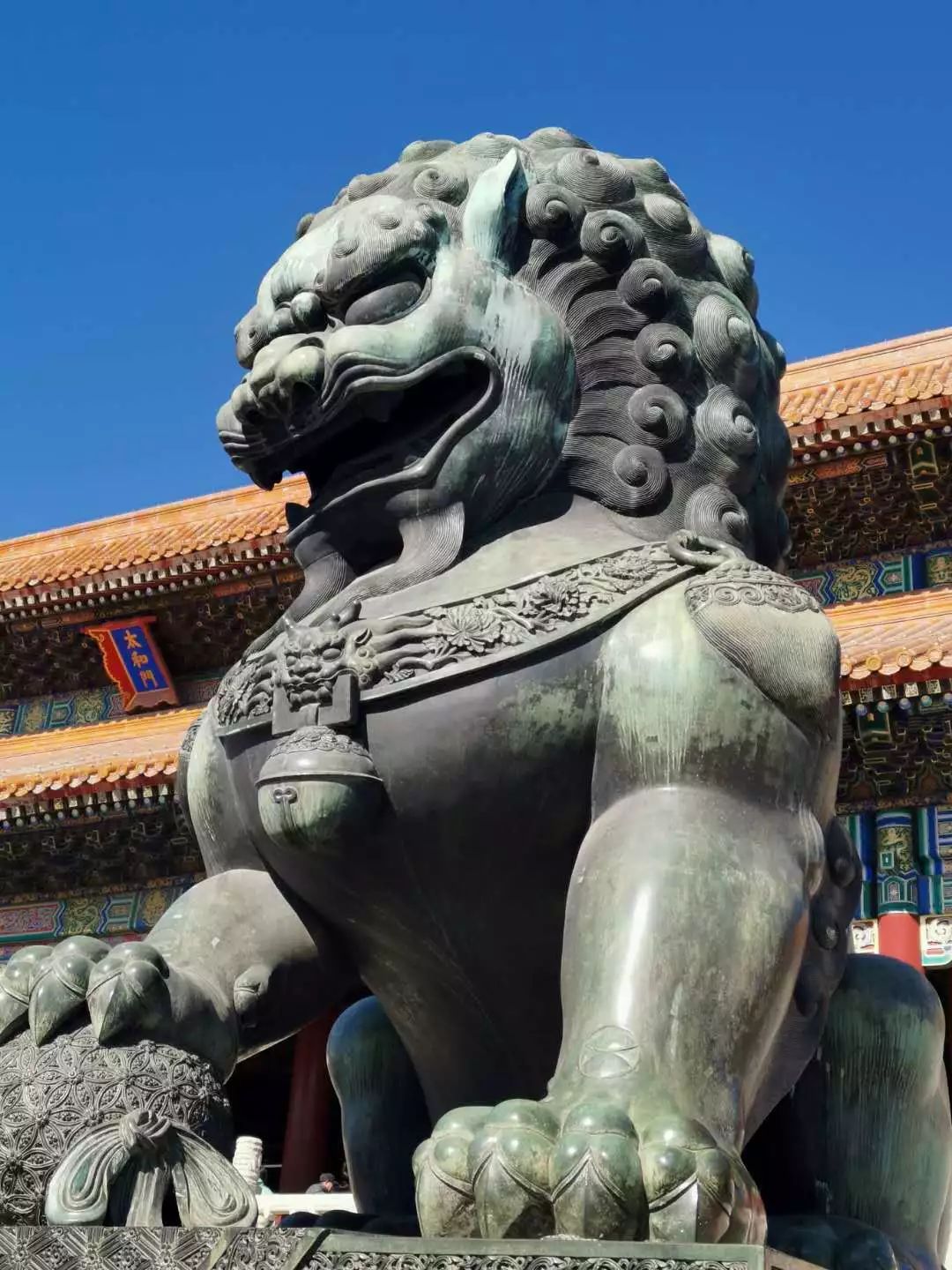 想去故宫拍雪景你需要先了解一下故宫里的大怪兽