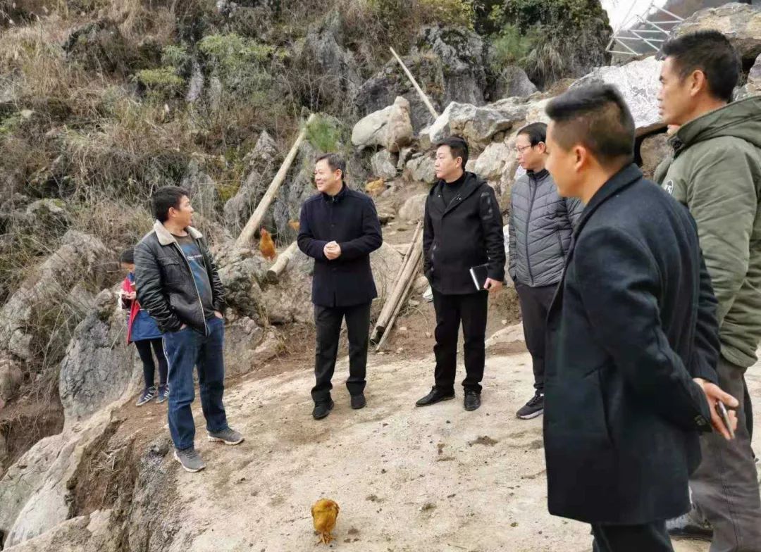 马显红一行还查看了岩园村的肉鸡和白山羊养殖产业