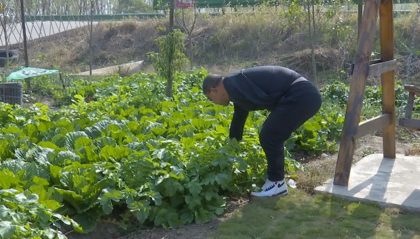 真正的浩口牛人"独臂虾哥"的传奇人生,有没有人认识?