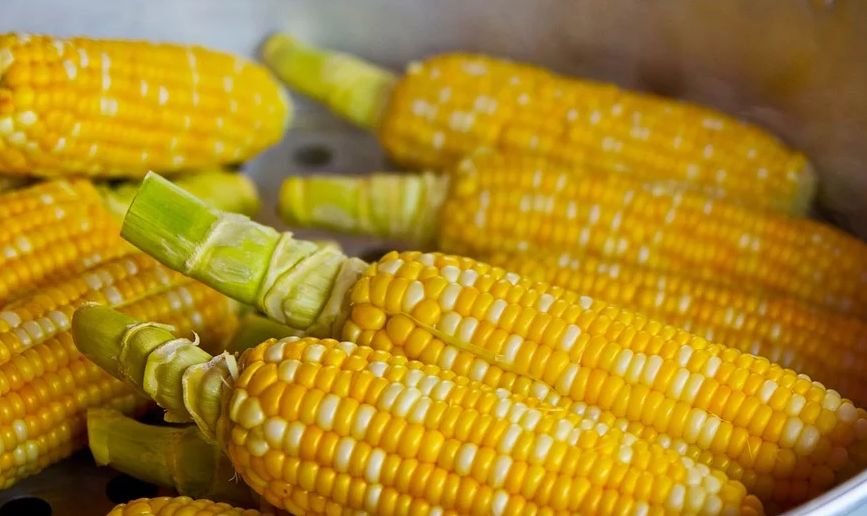 1岁多宝宝吃玉米撑破胃老人别再追着娃喂饭了