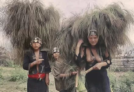 老挝阿卡族人图片