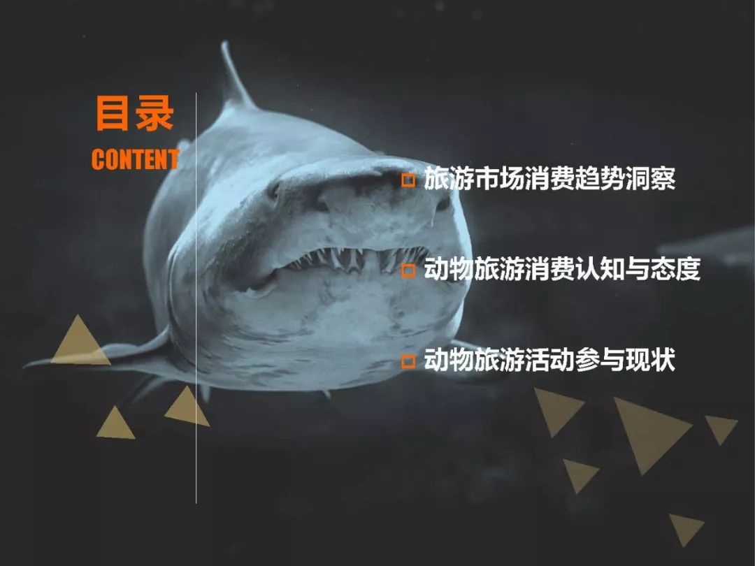 2018中国年轻消费者动物主题旅游趋势报告