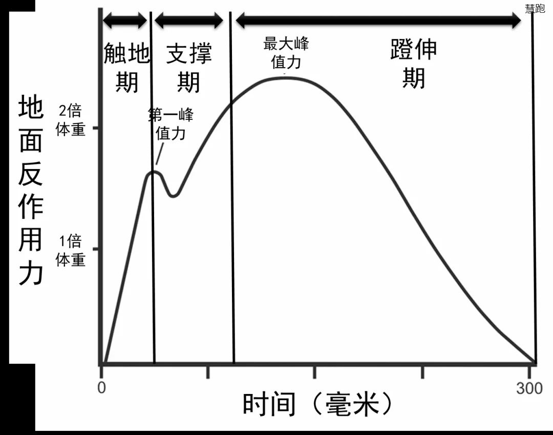 從上述分析中,我們就可以理解,觸地階段是跑步時非常重要的一個階段