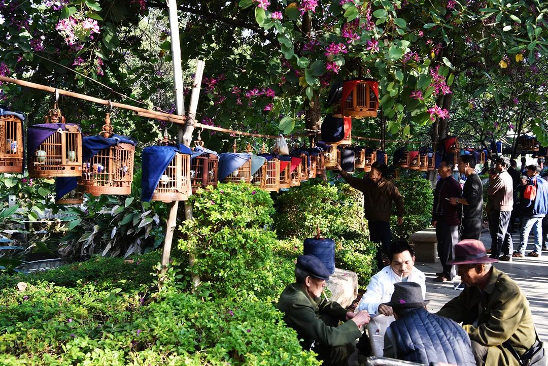 红河谷明珠太阳城广场