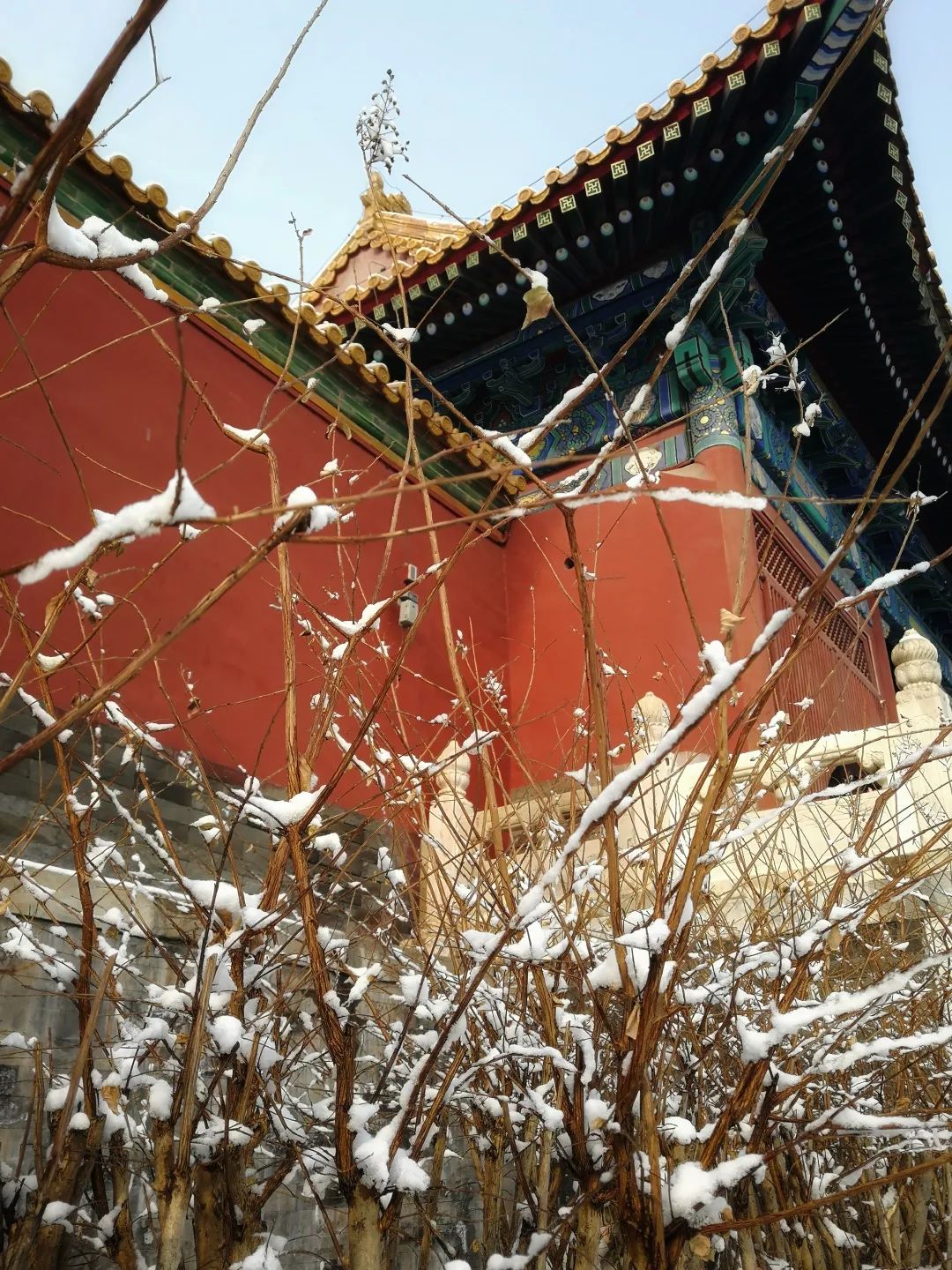 橘子光影丨北京初雪未若柳絮因风起