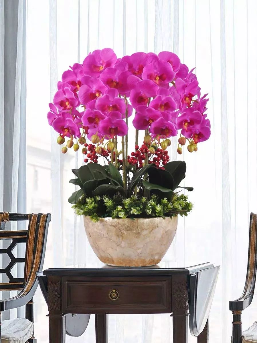 这六种转运花家里必须养一盆吉利又好看