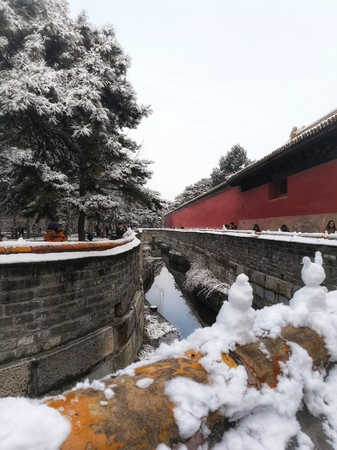橘子光影丨北京初雪未若柳絮因风起