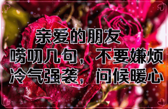 一声朋友,一声珍重,天冷了,好好照顾自己