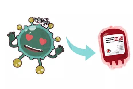 血液传播 来自搜狐网