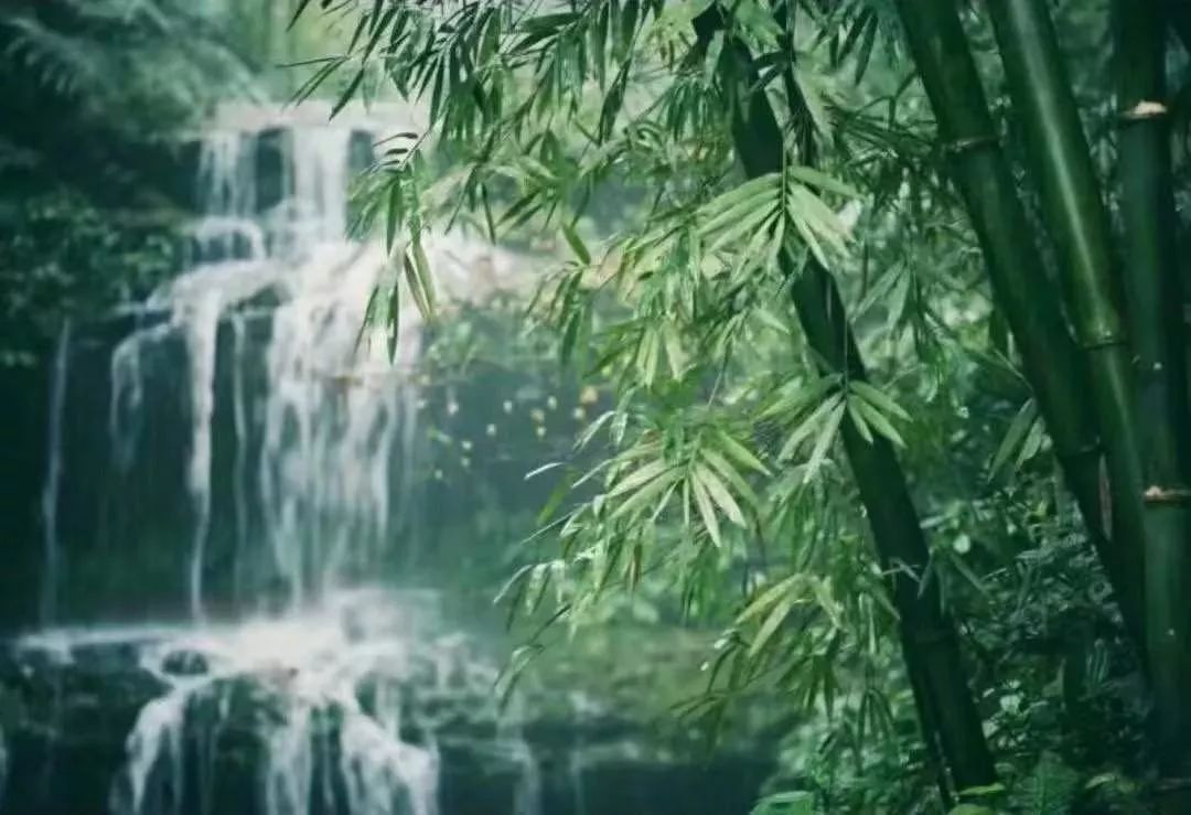 竹林的声音怎么形容,形容风吹竹林的声音,风吹竹林的声音拟声词(第3页)_大山谷图库